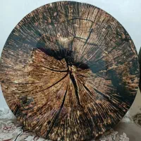 پنج جلسه کلاس رفتم هر سه تا باهم دو میلیون و دویست