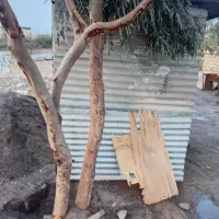 کانکس نگهبانی|مصالح و تجهیزات ساختمان|بم, |دیوار