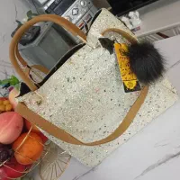 کیف مجلسی