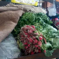 سبزی و میوه