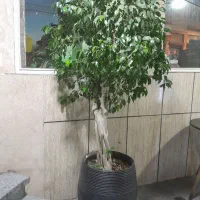 راهنمایی درمورد شراکت