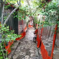 نیروی کار در کافه رستوران