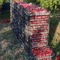 فروش باغ انار