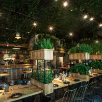 به قیمت تولیدی وشرایطی|گل و گیاه طبیعی|یزد, |دیوار