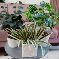 چندتا گل مصنوعی با گلدانش