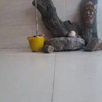 فروش سنگ|کلکسیون و سرگرمی|فومن, |دیوار