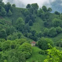 فروش زمین مسکونی