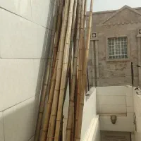 چوب بامبو مخصوص پرچم