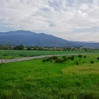 385متر-دوقطعه185و200متر-تفکیکی-مسکونی