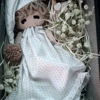 عروسک|اسباب‌‌بازی|پرند, فاز ۴|دیوار