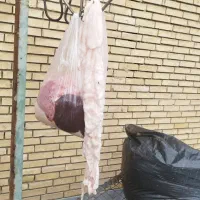 سلام گوشت فروشی