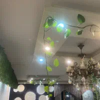 استخدام پیک موتوری