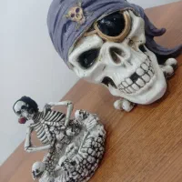 اسکلت|کلکسیون و سرگرمی|رشت, هلال احمر|دیوار