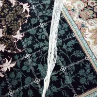 تورکبوتر|ماهیگیری|مشهد, شهرک مطهری|دیوار