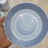 جشنواره فروش ارکوپال فقط ۲۹۹۰ تک به قیمت عمده