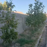 باغ مجموعه پردیس دهبید