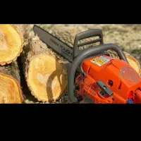 هرس وباغبانی. برش چوب ودرختان درمنازل وباغات خرید