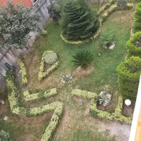 خدمات تخصصی باغبانی و فضای سبز|خدمات باغبانی و درختکاری|بندر انزلی, کارآموزی|دیوار