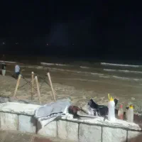 تور جزیره قشم و سپیدان هر هفته حرکت