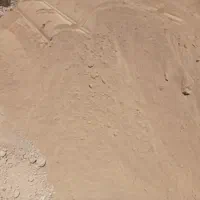 کود گاوی و گوسفندی کاملا پوسیده و خاک باغچه شهریار|گل و گیاه طبیعی|صباشهر, |دیوار