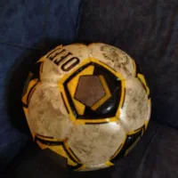 توپ چمن و سالن