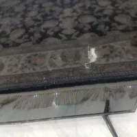 تلوزیون