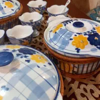 ظروف گل پنبه ای