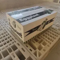 فروش کارتن صادراتی بادمجان|عمدهفروشی|یزد, |دیوار