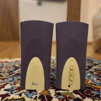 اسپیکر کامپیوتر