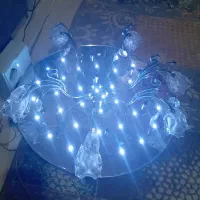 لوستر در حد نو