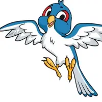 پرنده پیدا شده