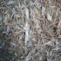 کاه لوبیا چیتی