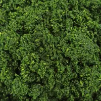 سبزی آماده همه نو ارسال رایگان