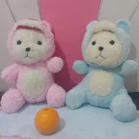 خرس کلاهدار|اسباببازی بچه|بروجرد, |دیوار