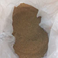 بذر یونجه