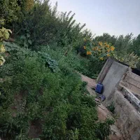 فروش باغ میوه|فروش خانه و ویلا|بهار, |دیوار