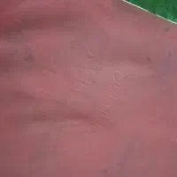 شناسنامه پیدا شده