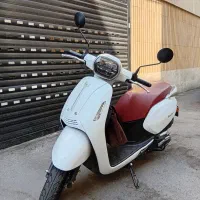 بنلی پانائرا 1402