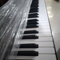 ارگ یاماها اصلی