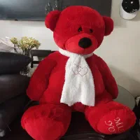 شاسخین خارجی