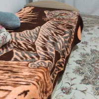 تختخواب|تشک تختخواب|بوکان, |دیوار