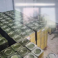 کارگر ساده تمام وقت با بیمه