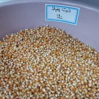 ذرت پفیلا درجه یک