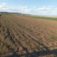 زمین باغ مابین جبه دار و معصوم اباد