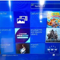 پی اس فور کپی خور بادودسته کاملا سالم