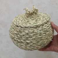 جاتخم مرغی حصیری