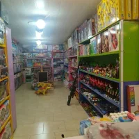 فروشنده در اسباب بازی فروشی