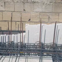 نماینده مجری