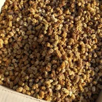 توت خشک امسال|خوردنی و آشامیدنی|تهران, گرگان|دیوار