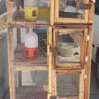 جفتگاه کبوتر ۳طبقه